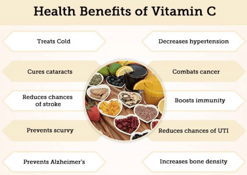 Active Nutrition - Nutrizionista Sportivo Milano - Health Benefits of Vitamin C 2